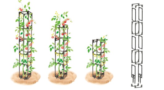 tuteur-tomates-et-plantes-grimpantes-cage-modulable-iriso