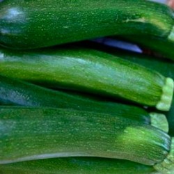 graines-courgettes-vertes-bio-iriso