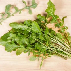 graines-roquette-cultivée-bio-iriso