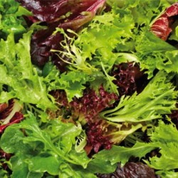 mesclun-doux-bio-iriso