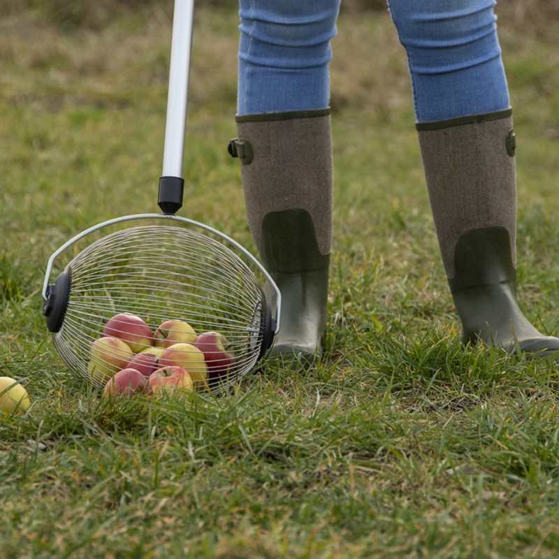 Ciseaux D'élagage En Acier Pour Arbres Fruitiers De Jardin, Branches