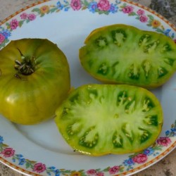 graines-tomates-vertes-bio-iriso