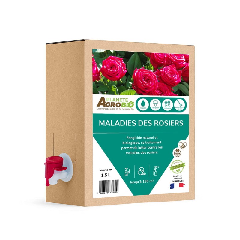 traitement-bio-maladie-des-rosiers-iriso