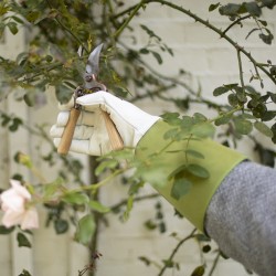 gants-de-protection-en-cuir-rosiers-iriso