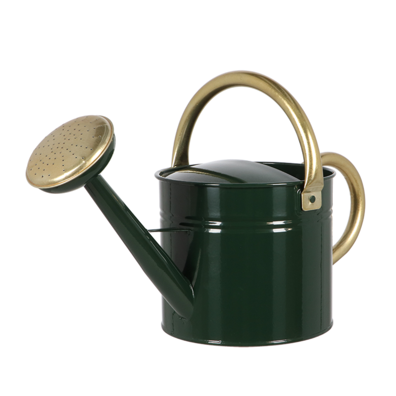 arrosoir-style-anglais-double anse-vert-et-doré-5L-iriso