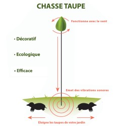 Chasse Taupe naturel