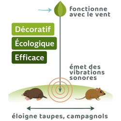 Chasse Taupe naturel