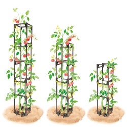 Tuteur tomates - Lot de 4