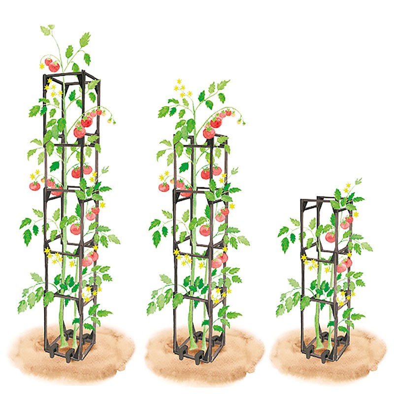 Tuteur tomates - Lot de 4 Tuteur tomates - Lot de 4