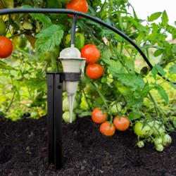Irrigation goutte à goutte 35L - 10 plants