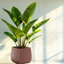 Jardinière carrée balcon et jardin - Design Ananas