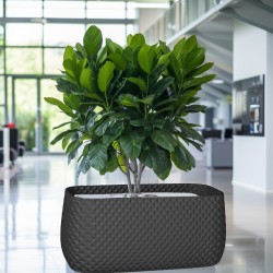 Jardinière rectangulaire design - Pot extérieur et intérieur