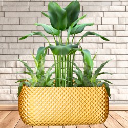 Jardinière rectangulaire design - Pot extérieur et intérieur