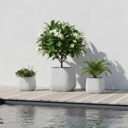 Jardinière carrée balcon et jardin - Design Ananas