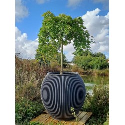 Cache-pot design Alinéa intérieur extérieur