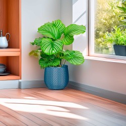 Grand cache pot de fleurs extérieur intérieur design moderne Ananas