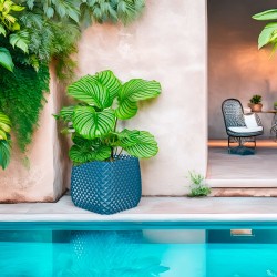 Jardinière carrée balcon et jardin - Design Ananas
