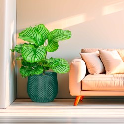 Grand cache pot de fleurs extérieur intérieur design moderne Ananas