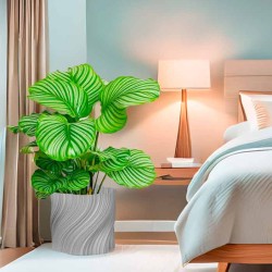 Cache-pot design déstructuré collection Oniris