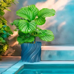 Cache-pot design déstructuré - Petite et grande tailles