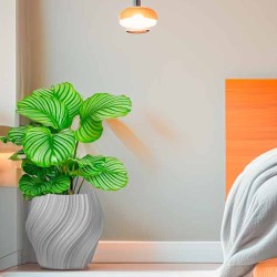 Pot de fleur coloré design Oniris - Intérieur et extérieur