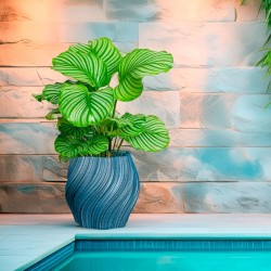 Pot de fleur coloré design Oniris - Intérieur et extérieur