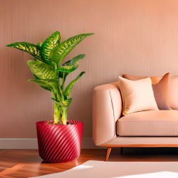 Cache-pot pour plantes intérieur-extérieur