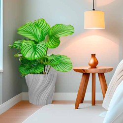 Cache-pot design Oniris forme évasée