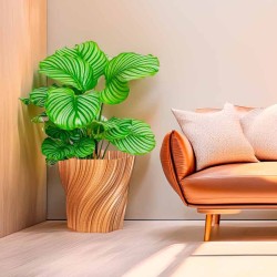 Cache-pot design Oniris forme évasée