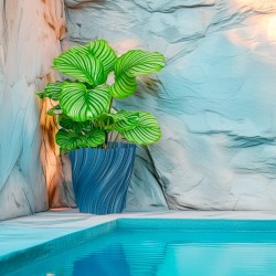 Cache-pot design Oniris forme évasée