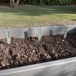 Grandes étiquettes plantes aromatiques - Lot de 11