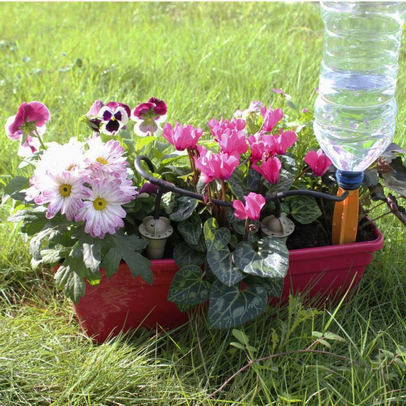 arrosage-Jardinière-kit-goutte-à goutte-bouteille-Iriso