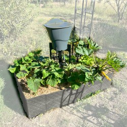 Carré potager 80x120cm - Arrosage autonome goutte à goutte - Kit 10 plants