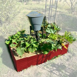 Carré potager 80x120cm - Arrosage autonome goutte à goutte - Kit 10 plants