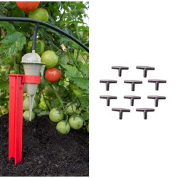 Iriso : Arrosage Goutte à Goutte