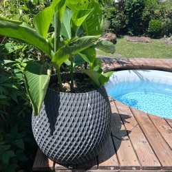 Gros pot design Ananas pour plante