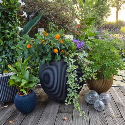 Grand pot de fleur Alinéa