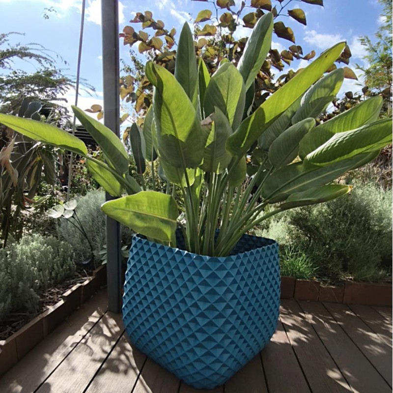 Jardinière carrée balcon et jardin - Design Ananas  - Couleurs: Bleu paon - Volume: 10L