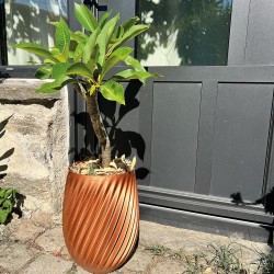 Pot de fleur grandes tailles pour intérieur et extérieur
