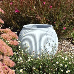pot de fleur blanc rond design texture dans un parterre de fleurs