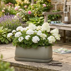 Coupelle pot de fleur rectangulaire – Soucoupe pour jardinière