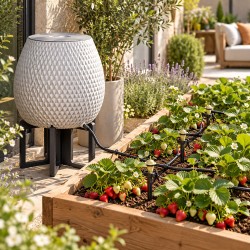 Kit complet irrigation - Goutte à goutte avec réserve d'eau Ananas 50L