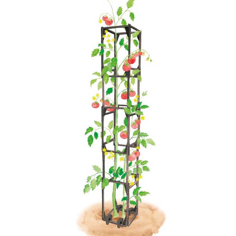 tuteur-tomates-et-plantes-grimpantes-cage-modulable-iriso