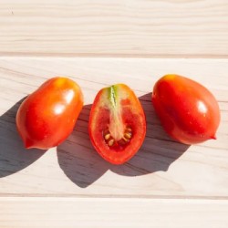 graines-tomate-roma-bio-iriso
