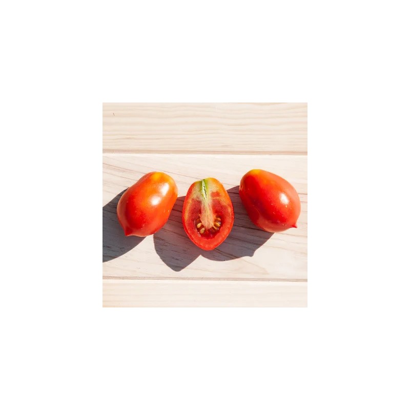 graines-tomate-roma-bio-iriso
