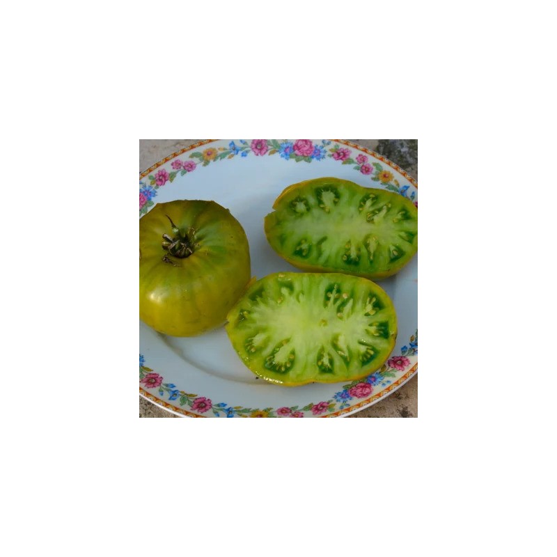 graines-tomates-vertes-bio-iriso