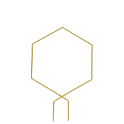 tuteur-métal-plantes-intérieur-hexagone-doré-iriso