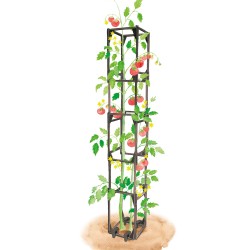 tuteur-tomates-et-plantes-grimpantes-cage-modulable-iriso