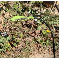 mangeoire-feuille-iriso-vert-anis