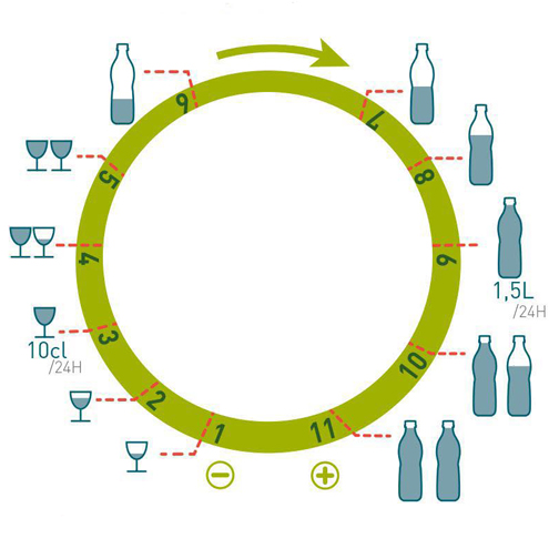 Conseils-réglages-arrosage-goutte-à-goutte-Iriso